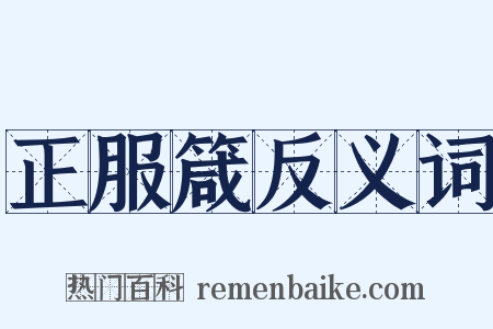 正服箴反义词是什么意思的图片